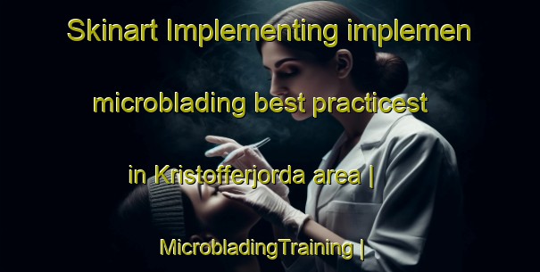 Skinart Implementing implemen microblading best practicest in Kristofferjorda area | MicrobladingTraining | MicrobladingClasses | SkinartTraining-Norway